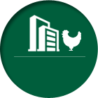 盛朗白石-精選礦源